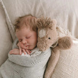 Nana Huchy | Harvey the Horse Hoochy Coochie