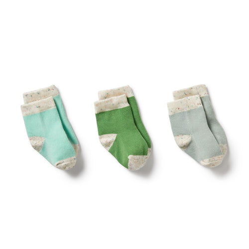 Wilson & Frenchy | Organic 3 Pack Baby Socks