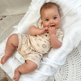 Aster & Oak | Safari Adventure Shorts