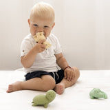 Tikiri | Turtle - Natural Rubber Baby Rattle & Bath Toy