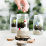 Poppy & Daisy | Mini Garden Kit