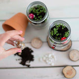 Poppy & Daisy | Mini Garden Kit