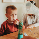 Jellystone | DIY Calm Down Bottle - Mint