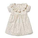 Float Away Organic Baby Ruffle Dress