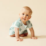 Organic Pointelle Boyleg Zipsuit - Little Lion