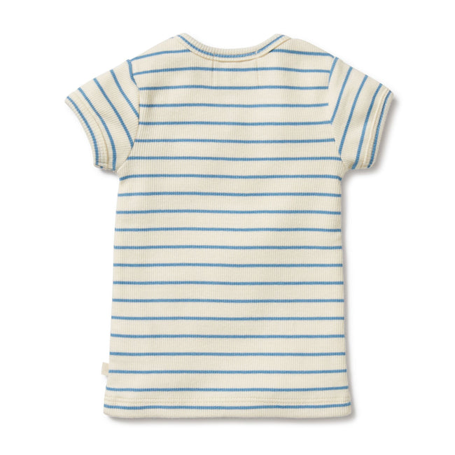 Wilson & Frenchy |  Petit Blue Organic Henley Tee