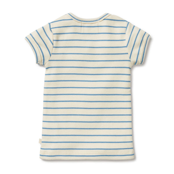 Wilson & Frenchy |  Petit Blue Organic Henley Tee