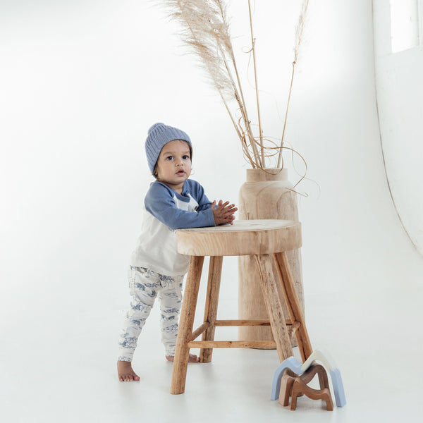Aster & Oak | Arctic Print Raglan Tee