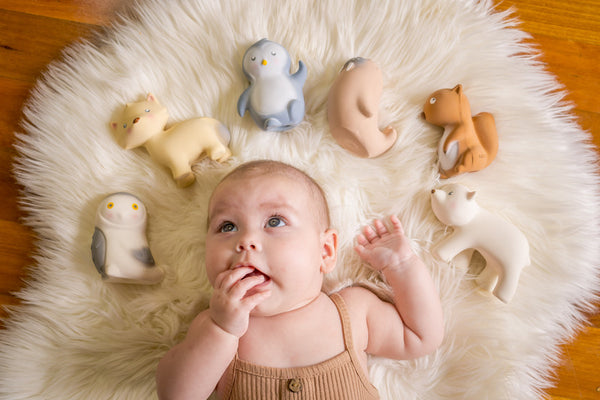 Tikiri | Fox - Natural Rubber Baby Rattle & Bath Toys