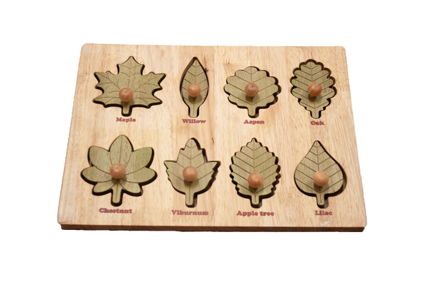 qtoys montessori leaf puzzle
