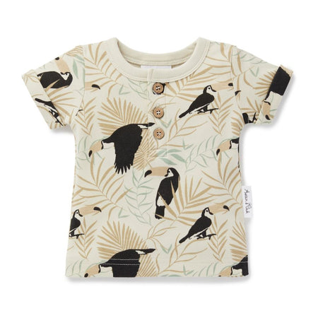 Wilson & Frenchy | Butterfly Top - LAST Size 00
