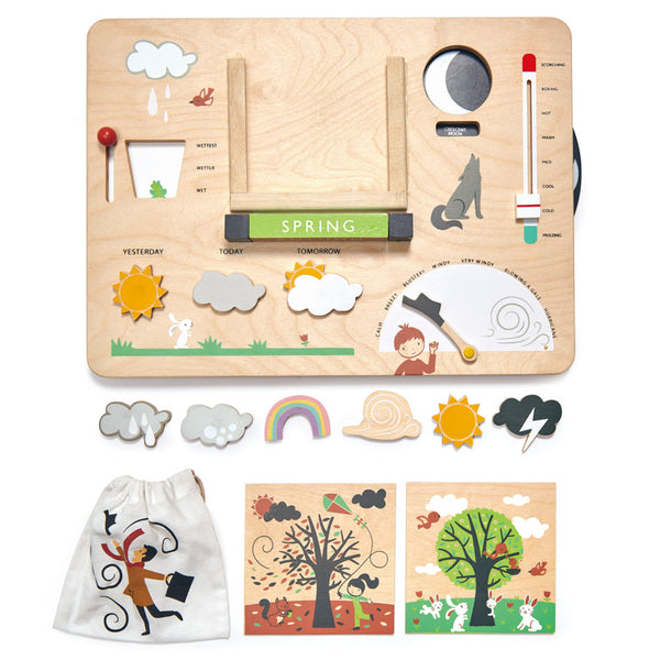 Tender Leaf Toys | Wooden Weather Station