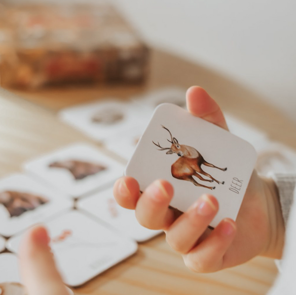 Modern Monty | Woodland Memory Card Game